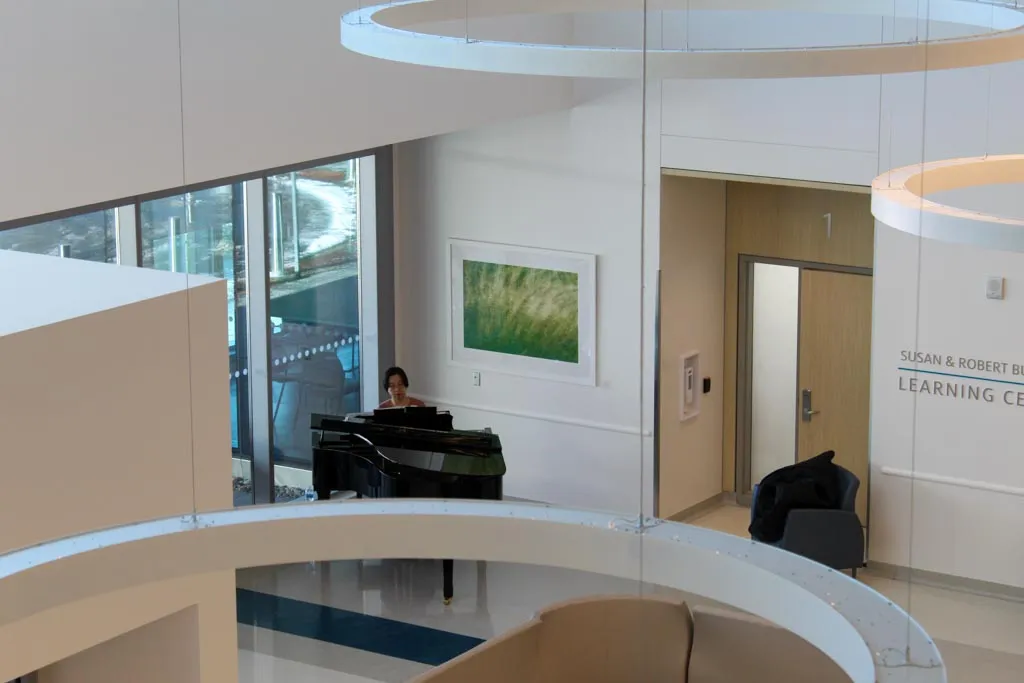 Concert at Joseph Brant Hospital Jan 20th 2019
